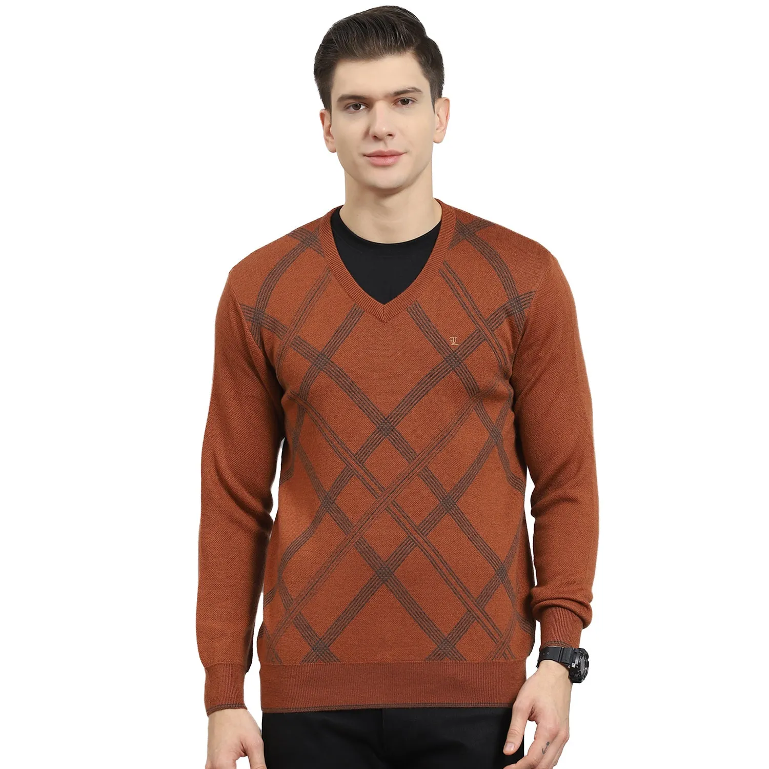 Men Rust Printed V Neck Full Sleeve Sweater