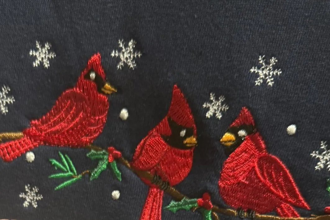 Speculation Missy Embroidered Fleece Pullover